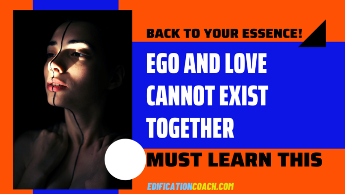 ego and love cannot exist together edıfıcatıoncoach.com