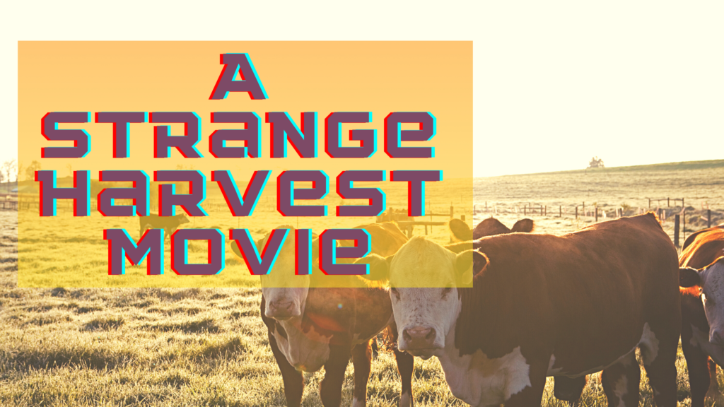 Strange Harvest movie cast and crew photo